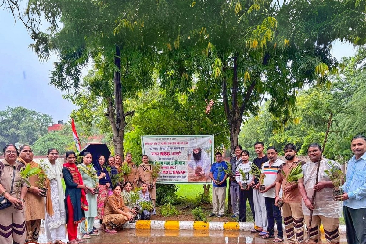 Green Revolution : Tree Plantation Drive by Dera Sacha Sauda Volunteers