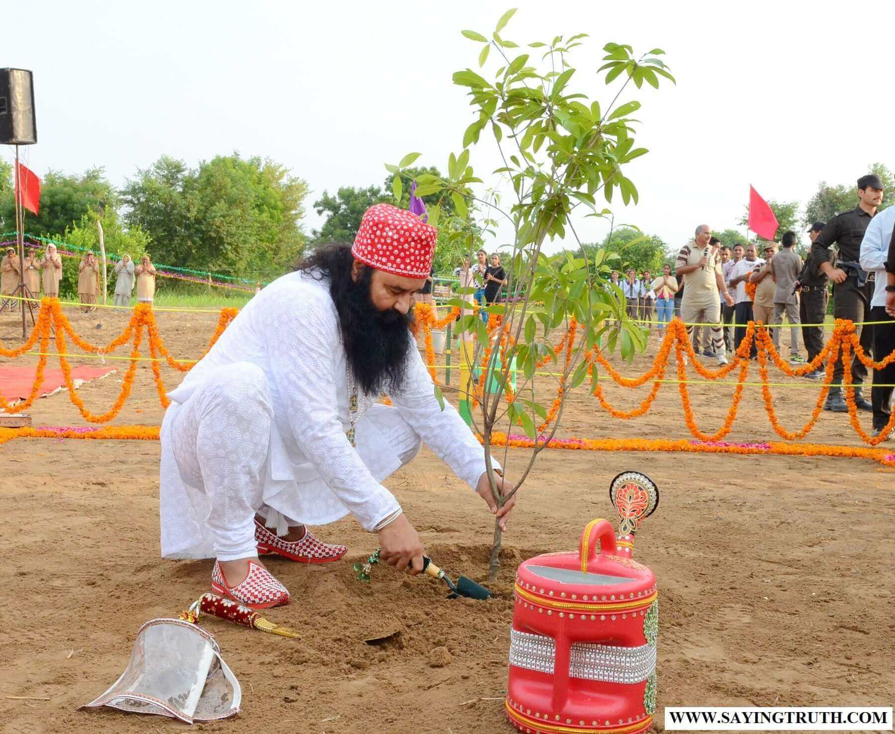 Ram Rahim ने बच्चों को सिखाया पेड़ों का महत्व