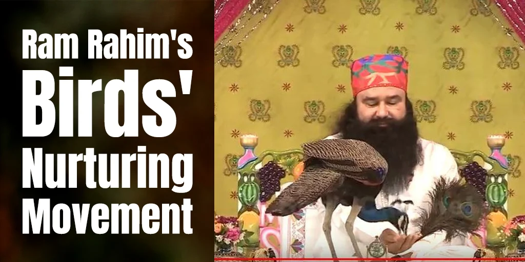 Ram Rahim's "Birds' Nurturing" - Mass Movement to Feed Birds Daily
