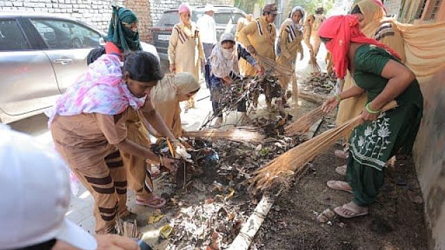 Blood, Brooms, and Saplings: A New Language of Service