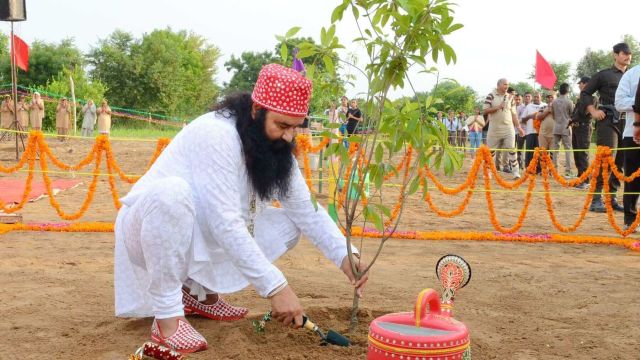 Ram Rahim ने बच्चों को सिखाया पेड़ों का महत्व