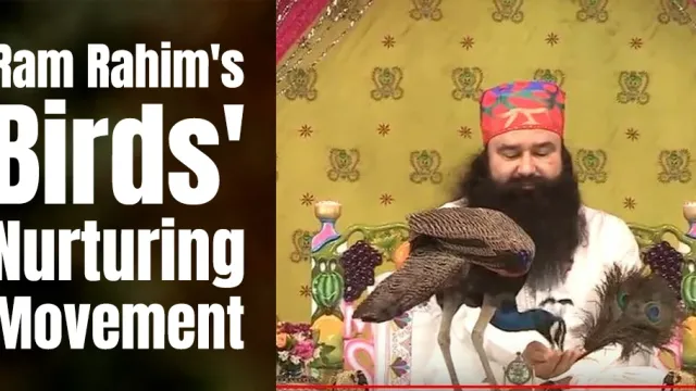Ram Rahim's "Birds' Nurturing" - Mass Movement to Feed Birds Daily